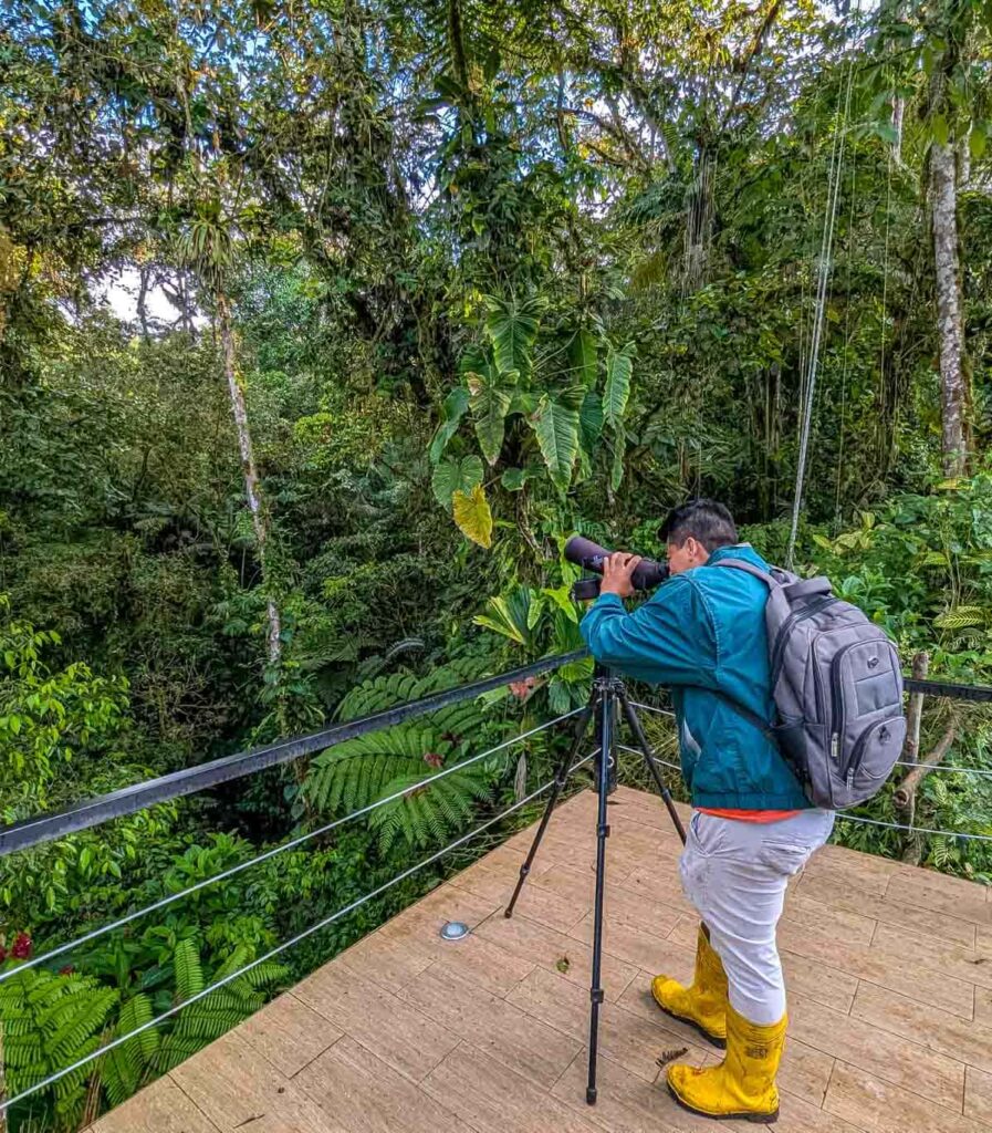 A man looks through a telescopic lens while birdwatching in Mindo Ecuador. He is wearing long pants, long sleeves, and yellow rubber boots and standing on a platform surrounded by trees and tropical plants.