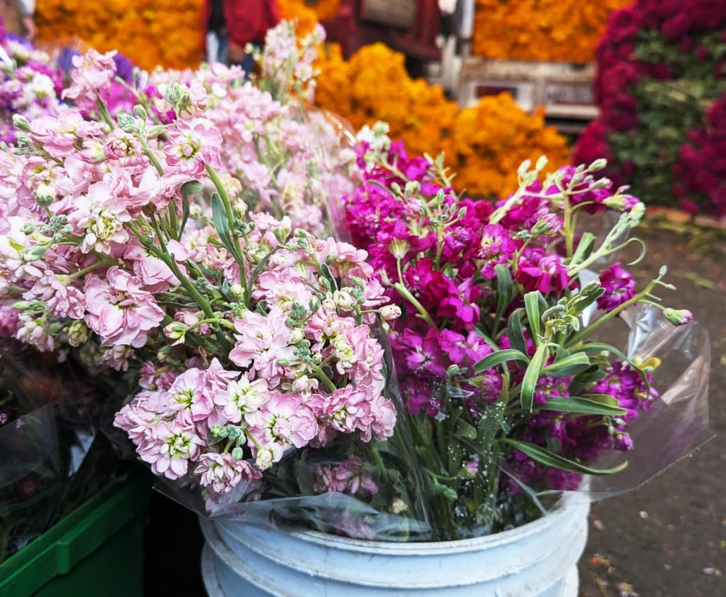 Soft pink and deep magenta carnation flower bouquets wrapped in clear plastic sit in a white bucket at a market stall with bright orange marigolds blurred in the background.
