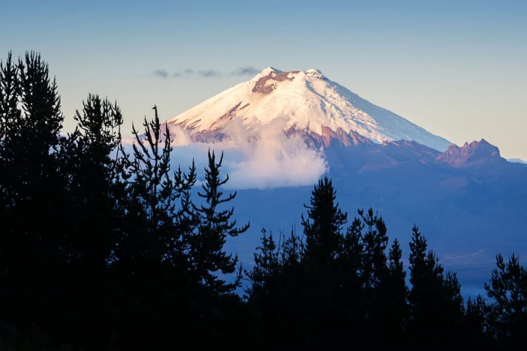 A snow covered cone shaped Cotopaxi volcano in the evening light on a Quito day trip. In front of the volcano, several tree tops are silhouetted.