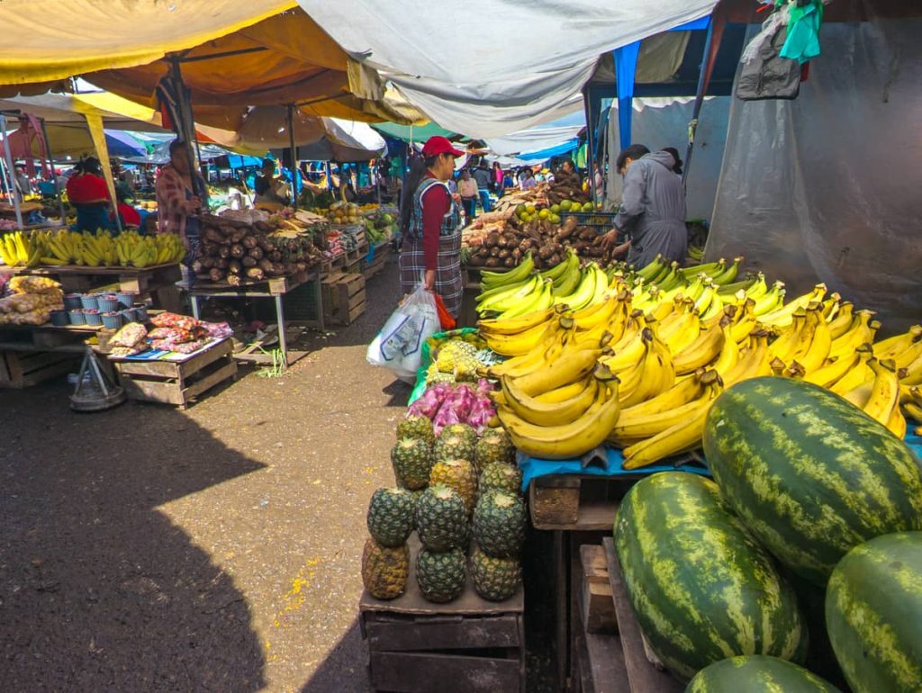 At the Feria Libre market in Cuenca, bananas, watermelon, pineapples, and more are on display under tarp covered stalls.