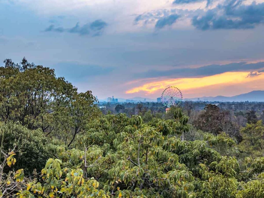 A distance view of the ferris wheel in Chapultepec Park during sunset with trees in the foreground. In the background, the skyline is a mix of mountains and skyrises.