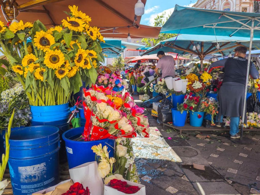 Vibrant flower market in Cuenca Ecuador, with sunflowers, roses, and mixed floral bouquets on display in blue buckets under colorful umbrellas.
