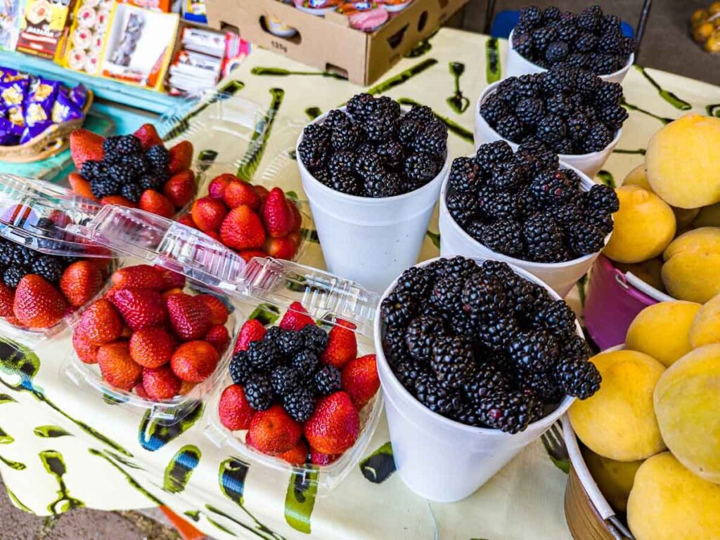 Cups of berries for sale at the monarch butterfly sanctuary in Michoacan Mexico.