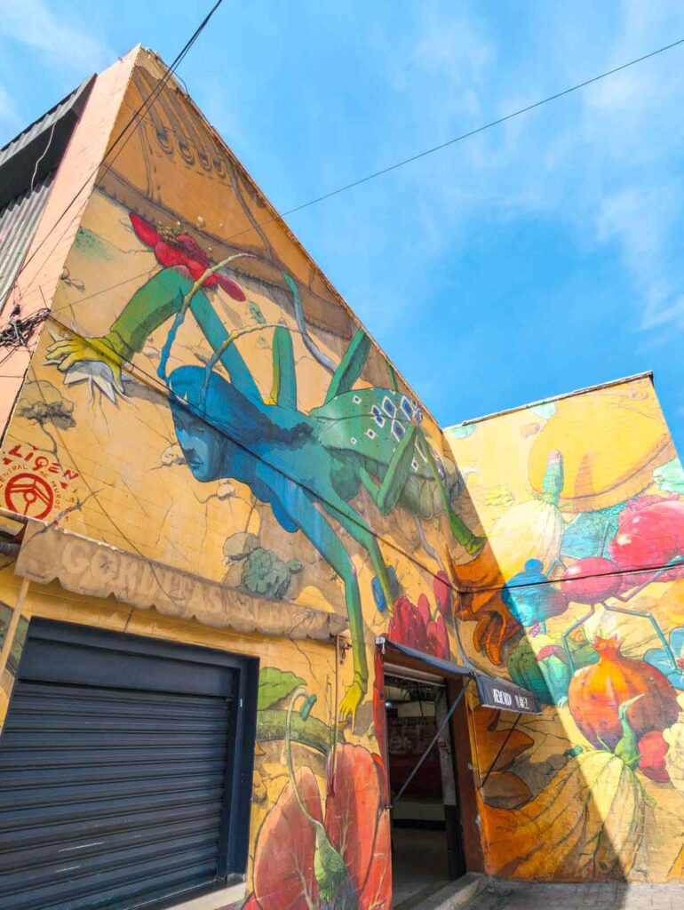 A half human half insect figure dominates this piece of Mexico City street art which also includes local fruit and vegetables.