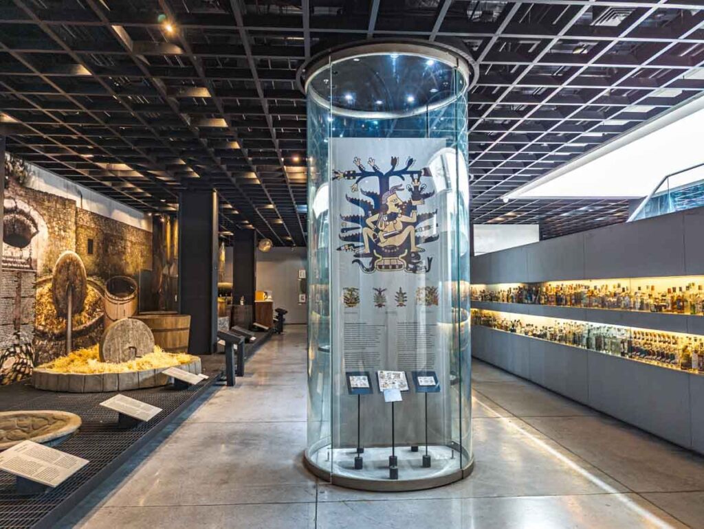A glass tube display in the middle of the room surrounded by two shelves of bottles and items used to make mezcal at the Mezcal Tequila Museum in Mexico City.