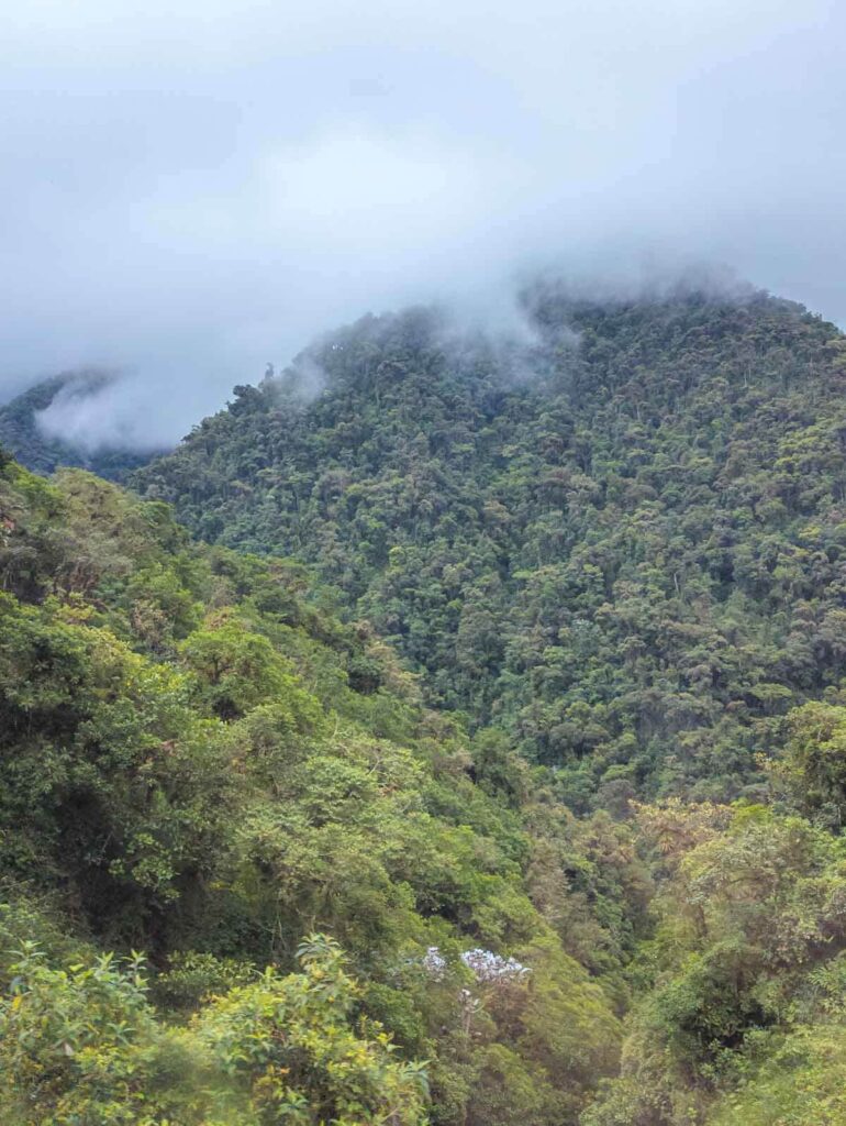 Misty clouds and fog covers the peaks of the green mountains along the drive to the Mindo cloud forest from Quito.