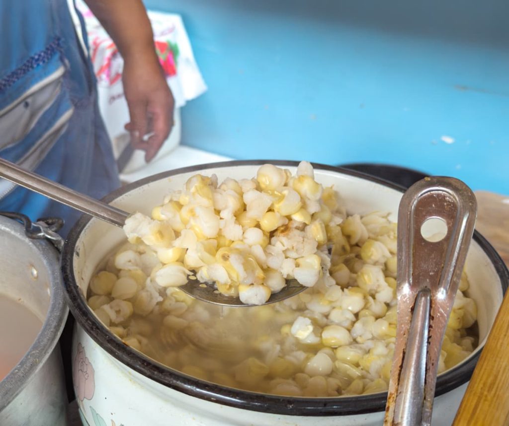 A woman lifts a serving spoon of cooked mote out of a large pot. Mote is a popular Ecuadorian food used in several dishes.