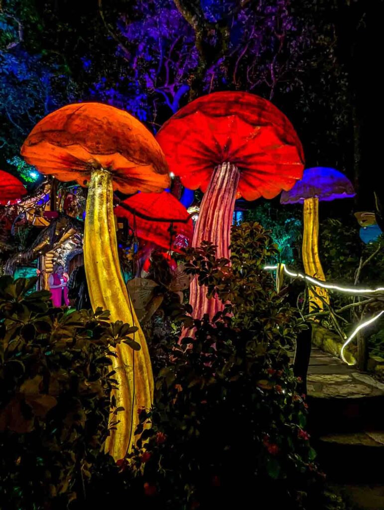 Giant glowing mushroom sculptures in red, orange, and purple light up a whimsical nighttime trail in El Bosque Encantado, one of the most unique things to do in Baños Ecuador.