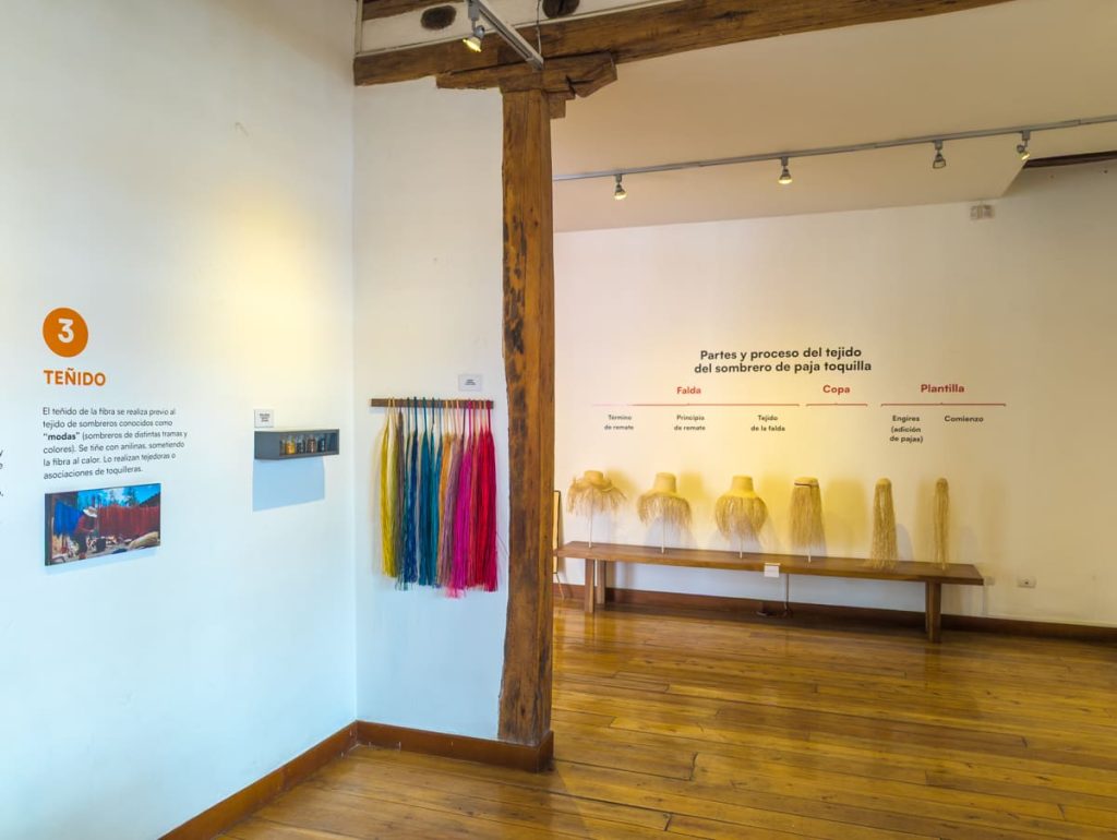 Educational display inside the Panama hat museum in Cuenca showing dyed fibers and labeled stages of the toquilla straw weaving process.
