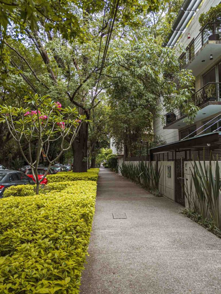 Plants line both sides of the sidewalk in front of an apartment in the Polanco neighborhood of Mexico City.