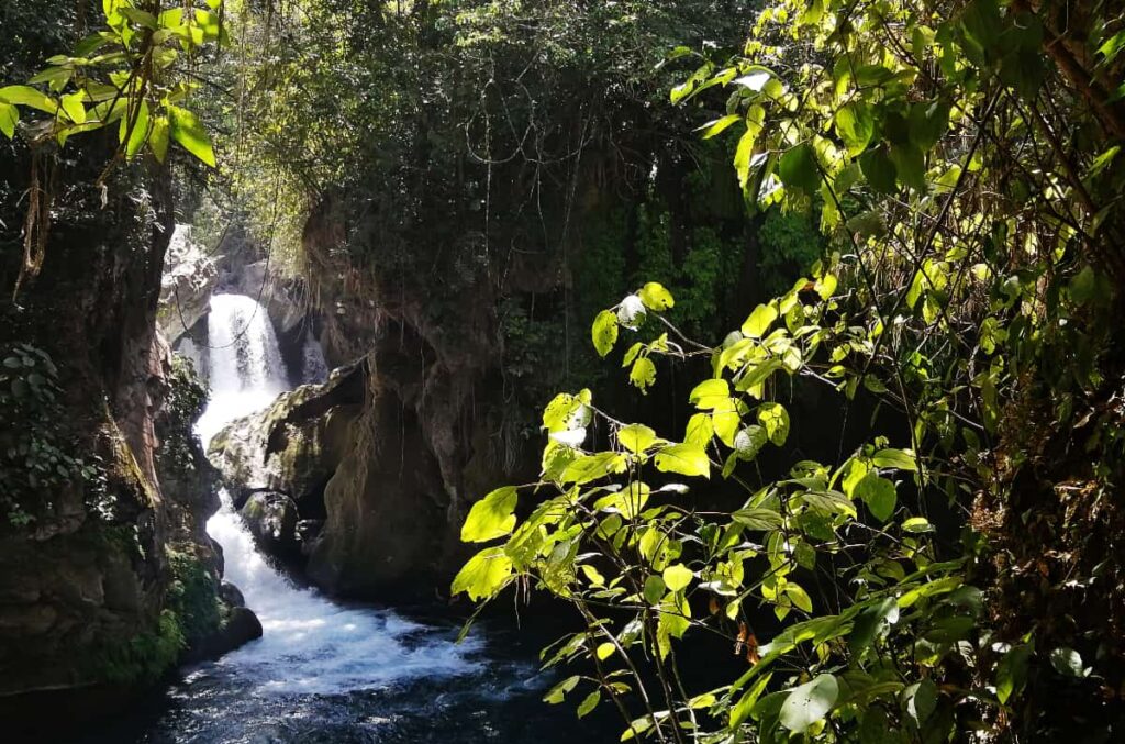The waterfall rushes into the cenote swimming hole next to Puente de Dios, San Luis Potosi.