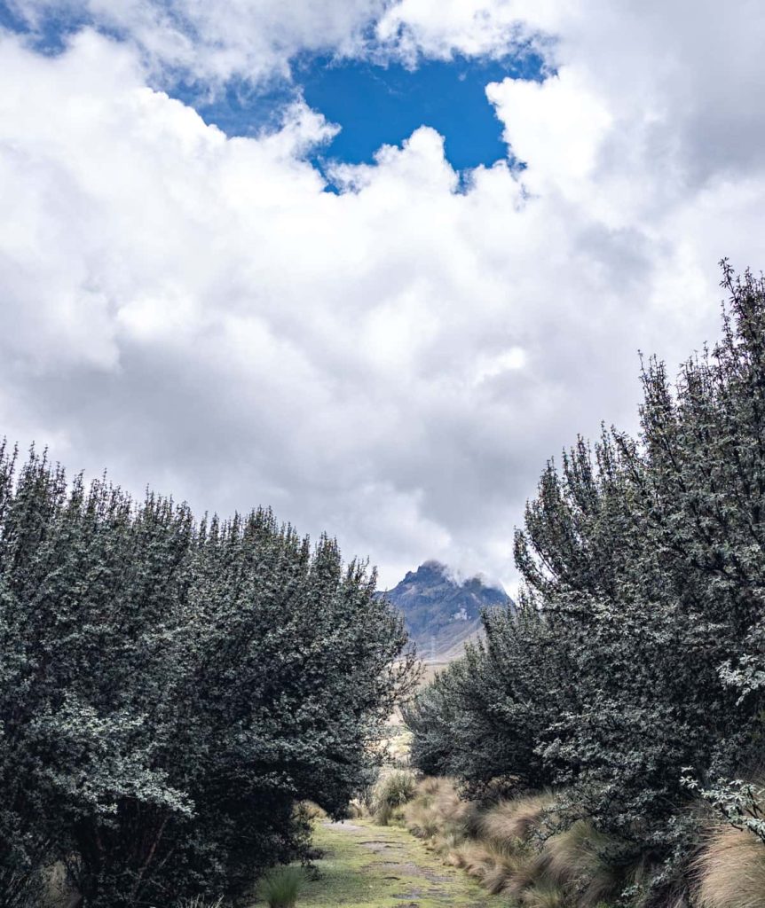 A mountain path framed by dense trees leads toward the peak of Rucu Pichincha under a dramatic sky, captured along a hiking trail near the Teleférico in Quito.