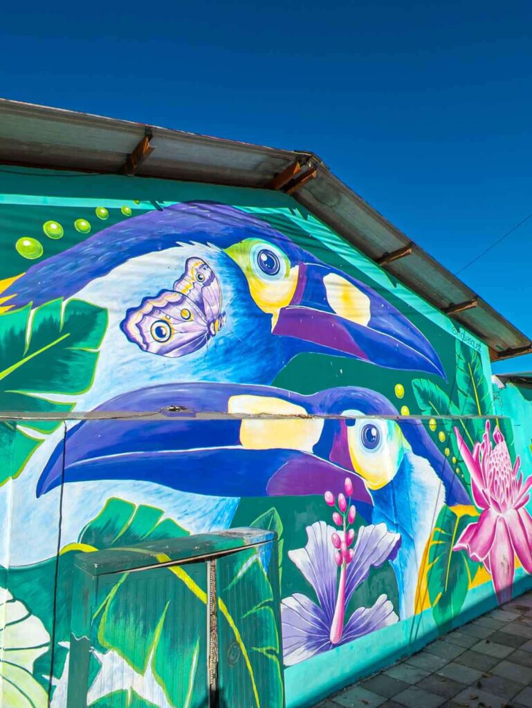 Street art of the Mindo cloud forest in Ecuador features two toucans and a butterfly surrounded by tropical plants.