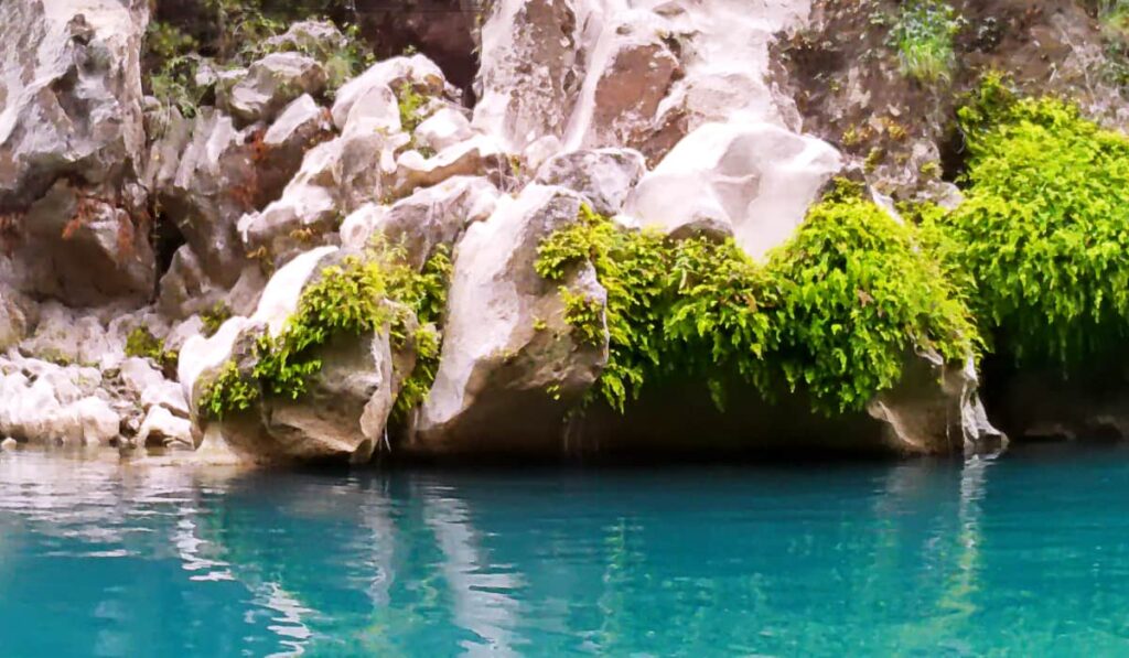 As you paddle along the Tampaon River to get to Tamul Waterfall, dark turquoise water contrasts with light colored rocks and large green ferns.