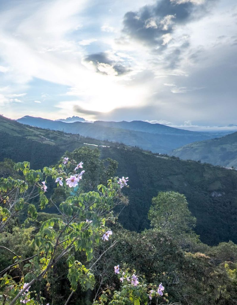 Wild pink flowers frame a breathtaking mountain sunset in Baños, Ecuador. The dramatic landscape sets the scene for the famous swing at the end of the world.