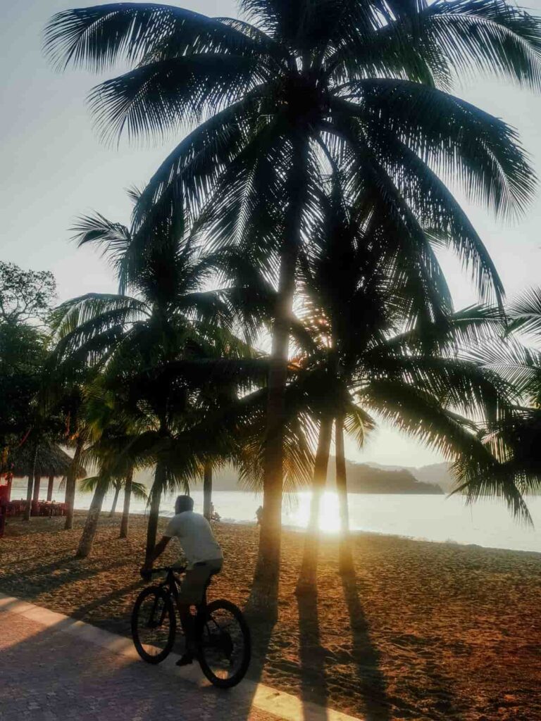 A man rides his bicycle along the Paseo del Pescador, one of Zihuatanejo's safest areas. Behind him, palm trees are silhouetted by the sun rising over the ocean.